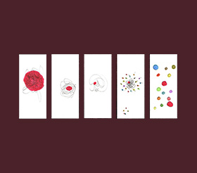 visualsfeatured